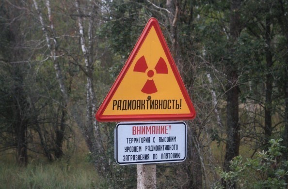 Итоги недели в цитатах из романа «Похождение бравого солдата Швейка»