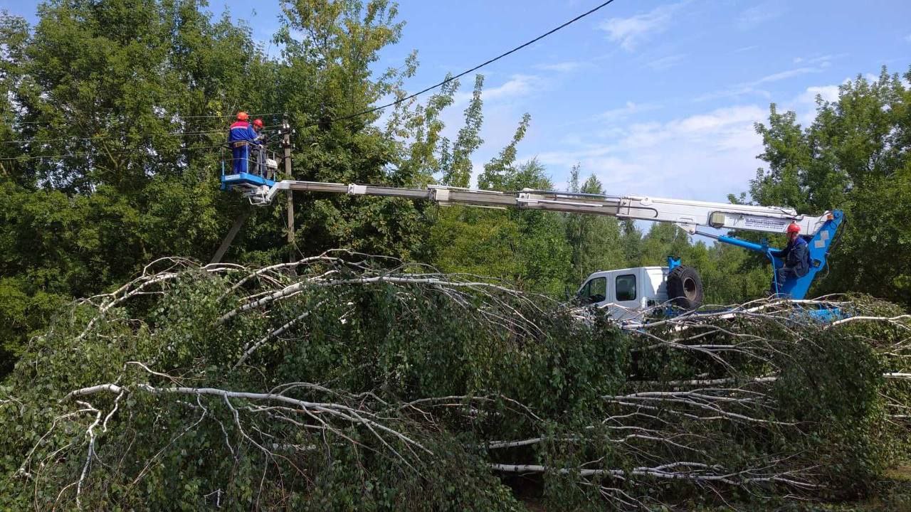 В&nbsp;Мозыре, Калинковичах и&nbsp;Наровле нет света. Как регион восстанавливают после урагана
