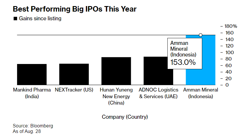 Самым успешным в&nbsp;2023&nbsp;году стало IPO сырьевой компании из&nbsp;Индонезии&nbsp;— плюс&nbsp;150%