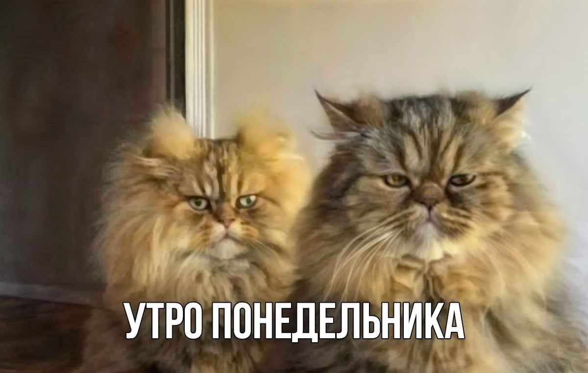 Шестая версия 713-го постановления и&nbsp;обвал рынков в&nbsp;США&nbsp;— неделя за&nbsp;три минуты