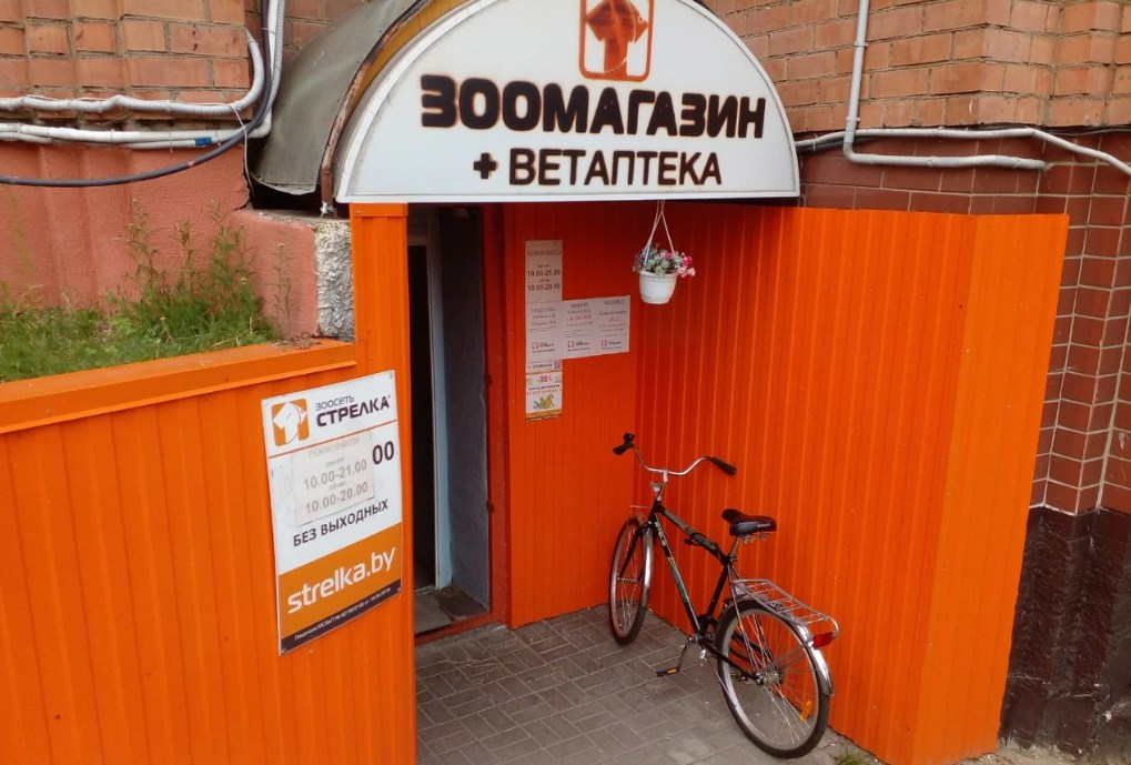 Все для котиков. Топ-10 крупнейших владельцев зоомаркетов и ветаптек Беларуси 