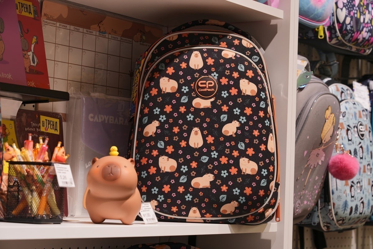 Back to&nbsp;School Fashion Week&nbsp;— рассказываем о самой трендовой канцелярии сезона