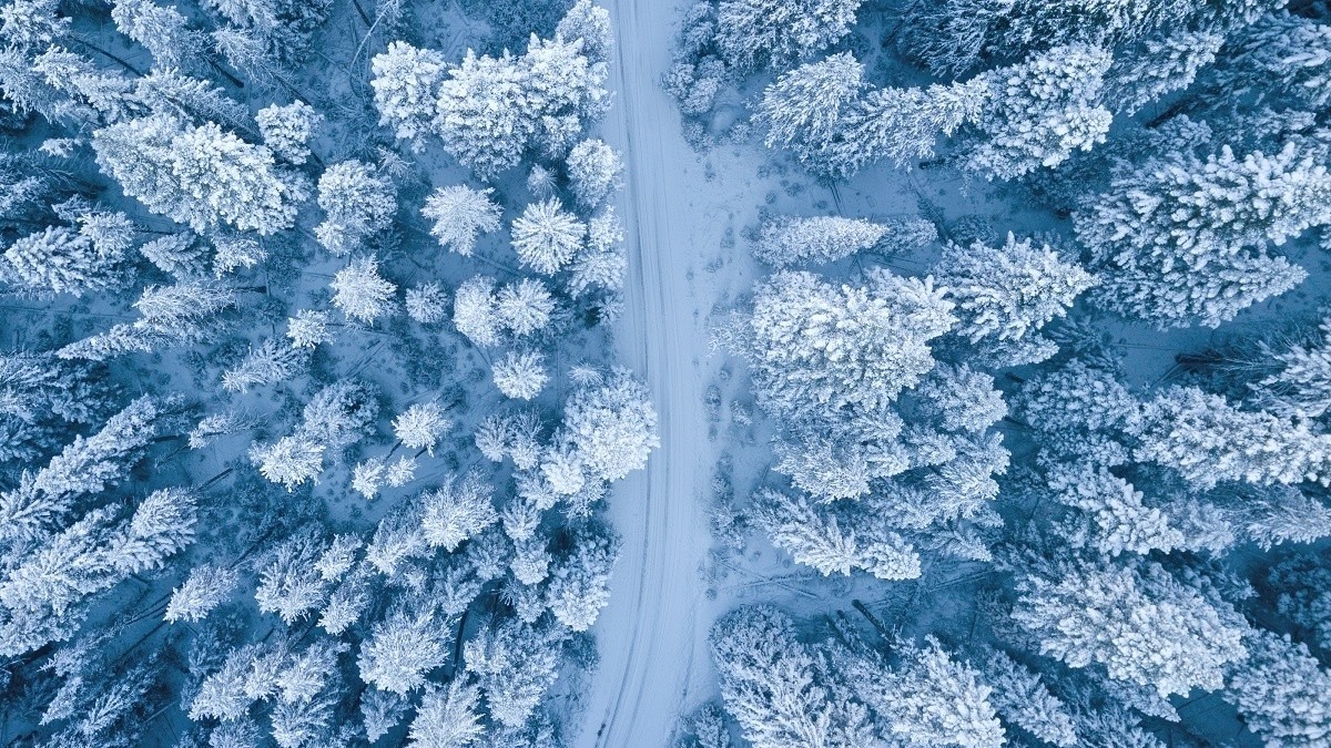 Морозы до −14°C. Какой будет погода в Беларуси в рабочую неделю