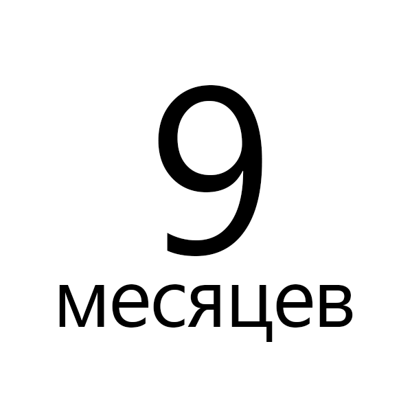 9 месяцев