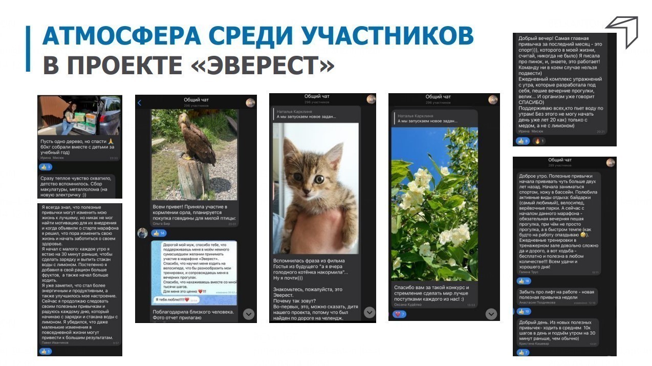 Покорители вершин и кот Эверест. Как банк решил сплотить команду —- и получил суперрезультат