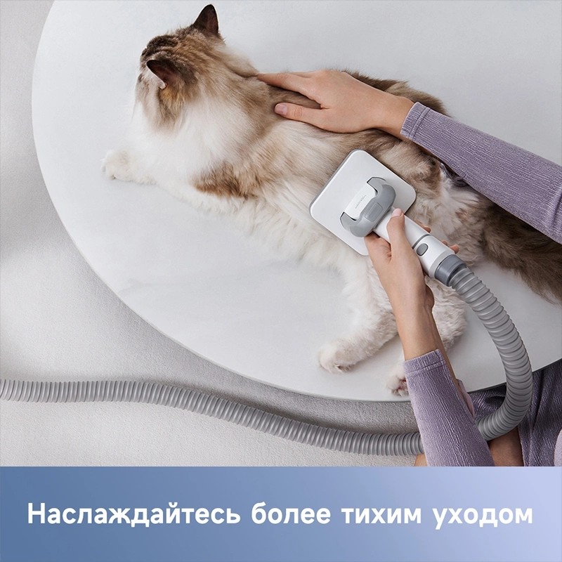 «Конкурировать с&nbsp;нами невозможно». 25&nbsp;июля стартовали продажи техники премиум-класса TROUVER