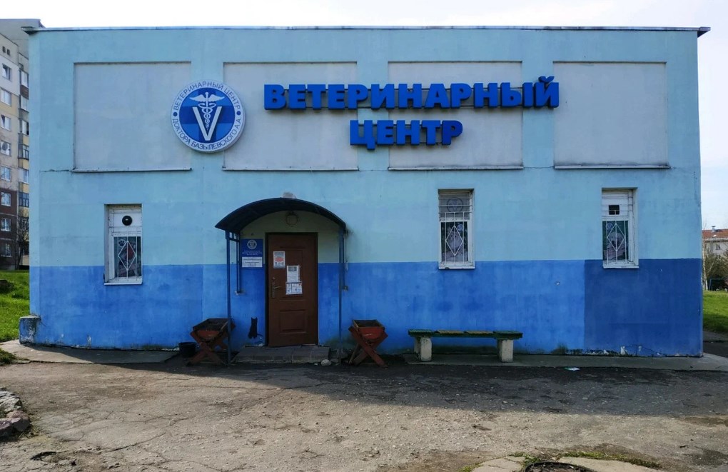 Все для котиков. Топ-10 крупнейших владельцев зоомаркетов и ветаптек Беларуси 
