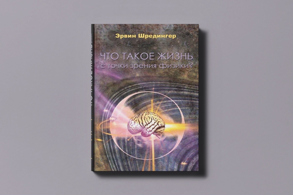 Шредингер и ресурс из неудач: директор Hoster.by советует книги для руководителей 