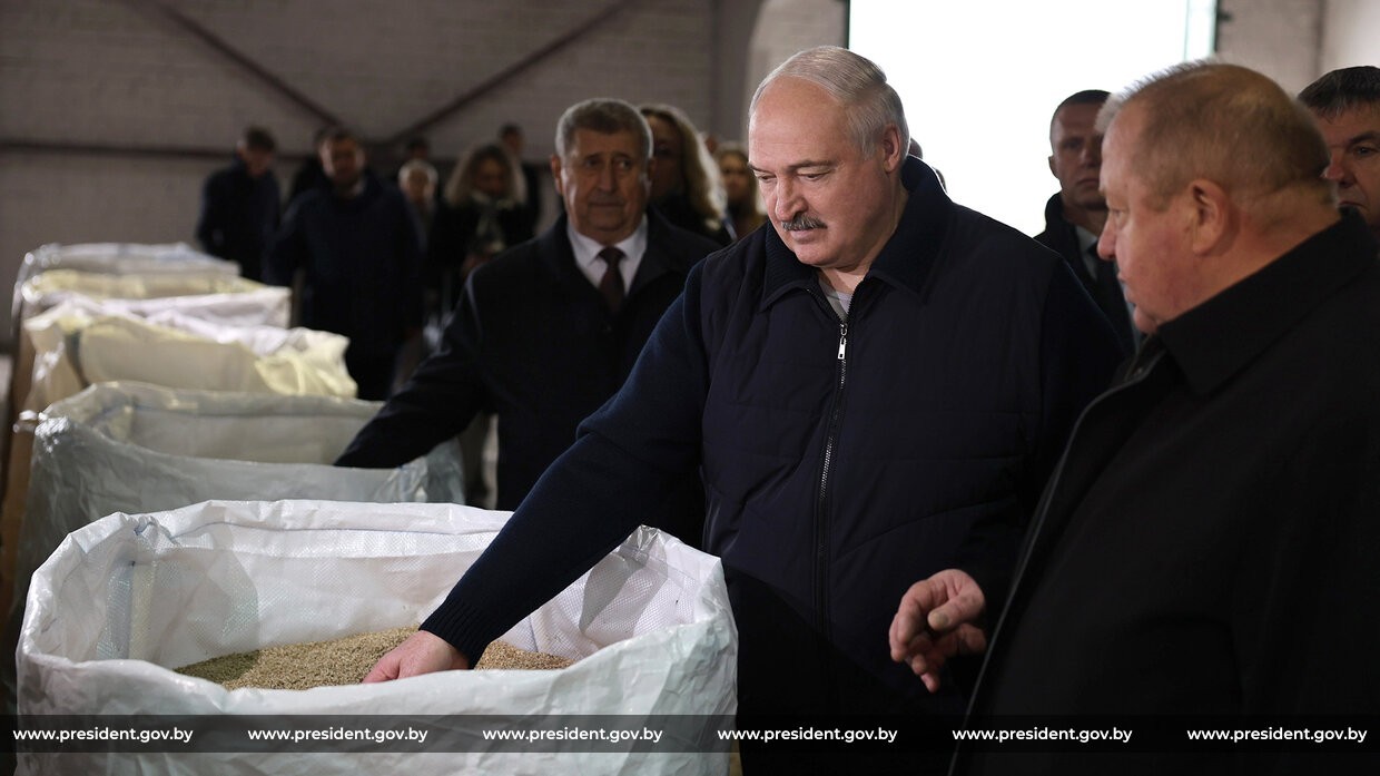 Лукашенко предложил поставить в&nbsp;Беларуси памятник корове