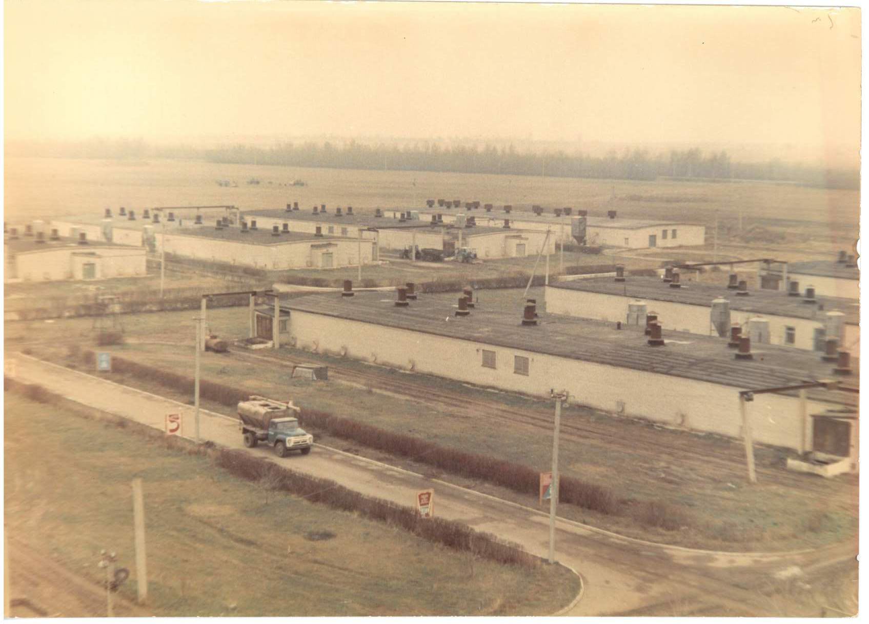 Газопровод на Запад, миллиард яиц и сети заправок. Что принес Беларуси 1976-й – год Дракона