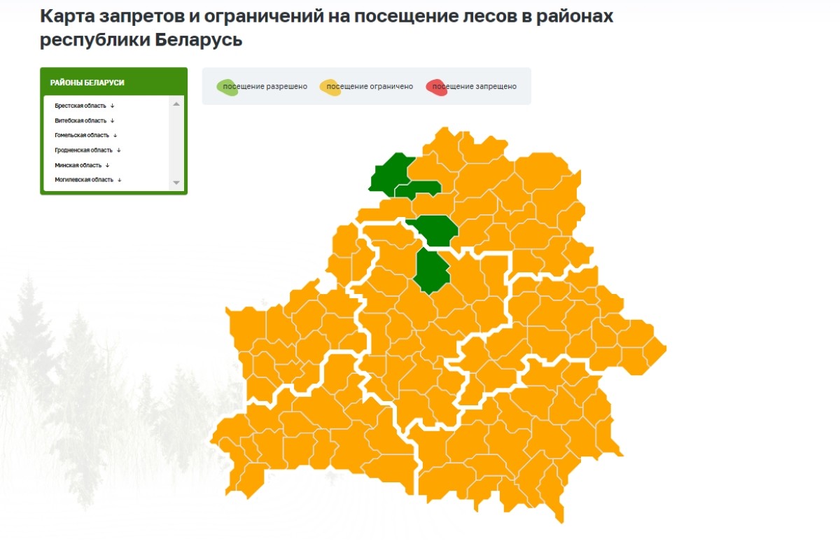 Минлесхоз предупреждает - на Первомай леса закрыты. Но не все
