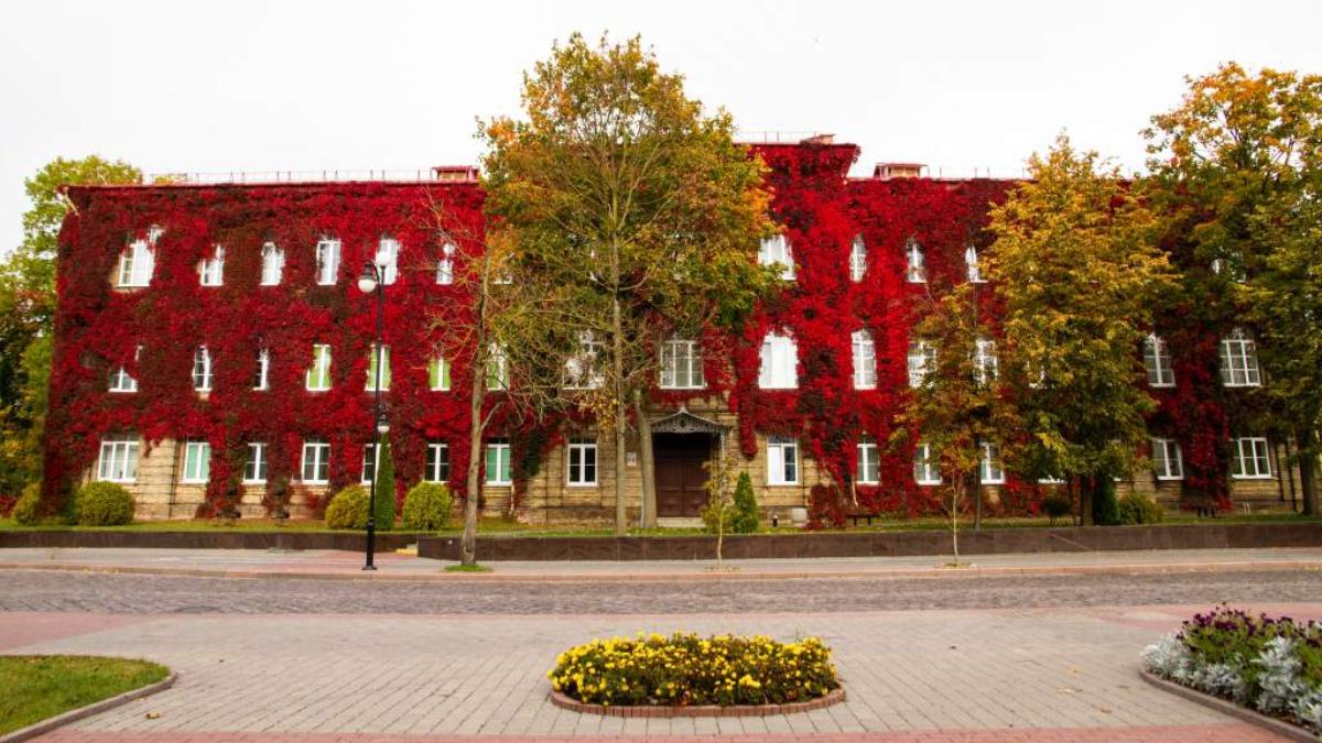 Где мигранты будут сдавать экзамен по государственным языкам. Опубликован список вузов