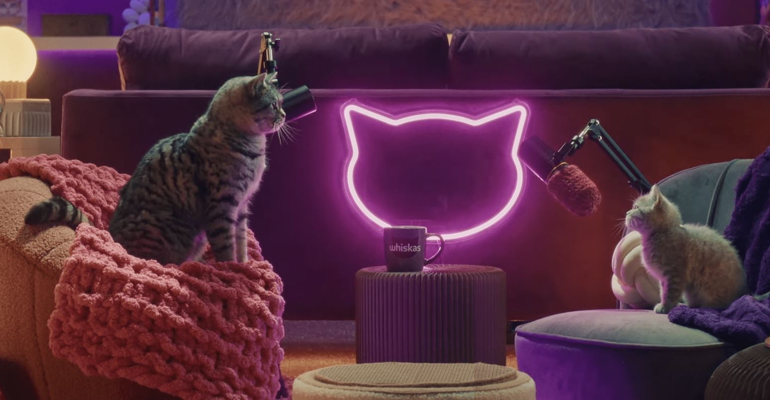 Whiskas запустил подкаст с кошками-ведущими