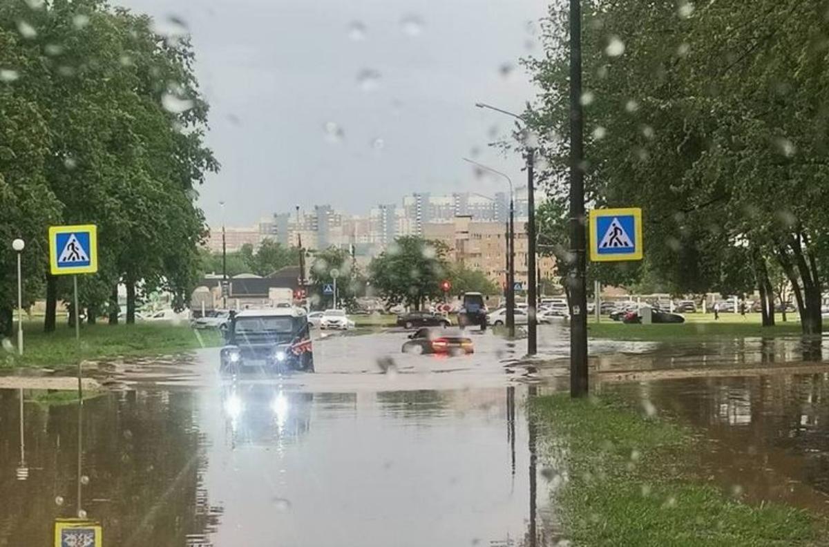 Упавшие деревья и поврежденные машины. В МЧС рассказали о последствиях непогоды 5 июня