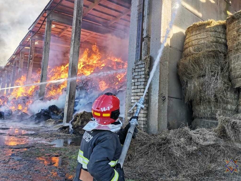 Пожар на льнозаводе в Лиозно: погиб замначальника областного управления МЧС