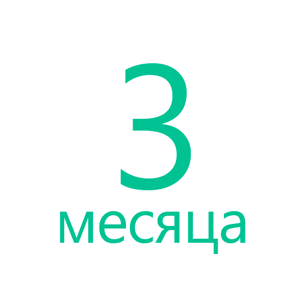3 месяца