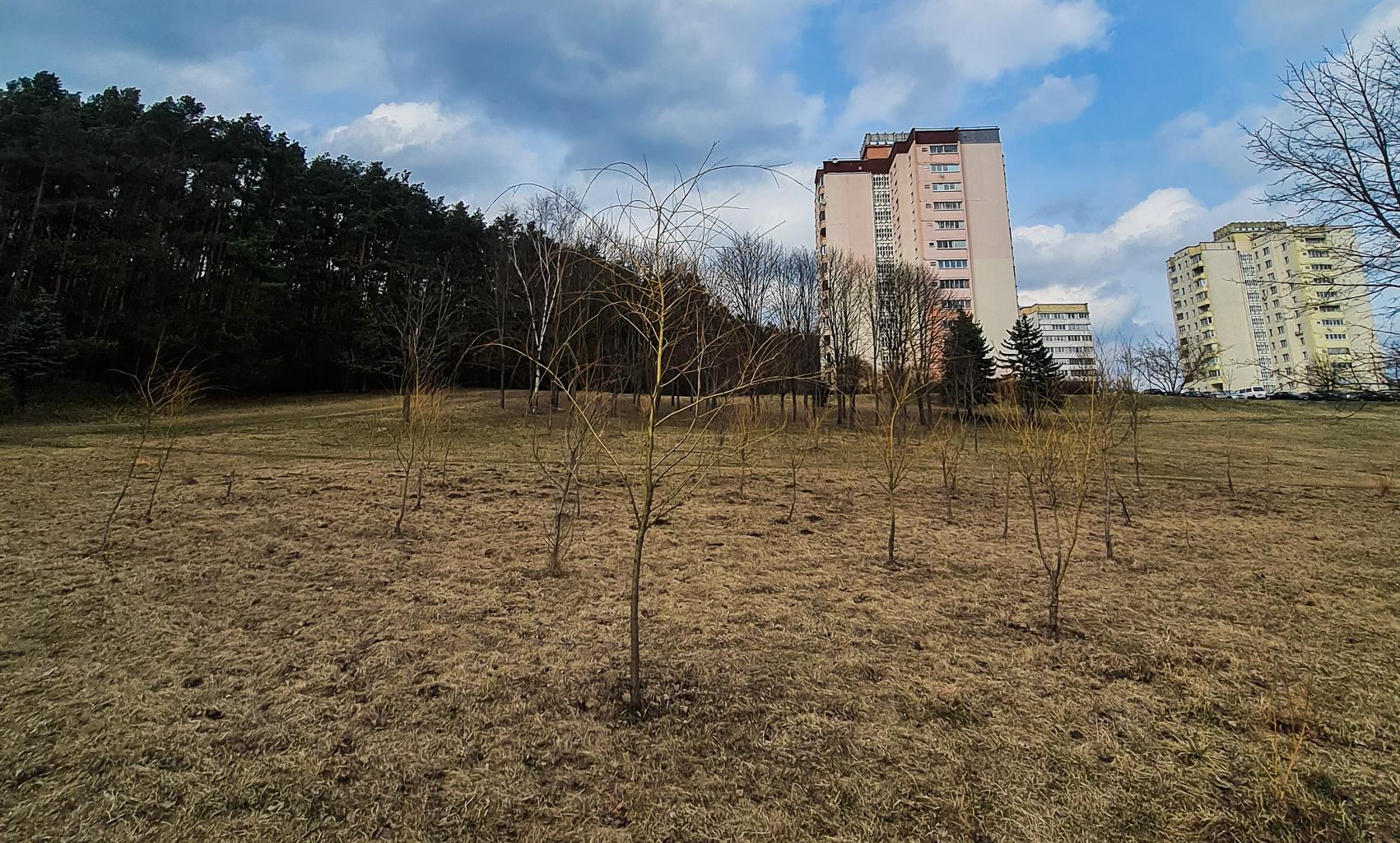 Эко-гайд от&nbsp;Betera. Как Green Office помогает спасать планету