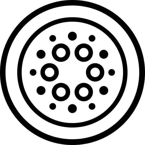 Cardano