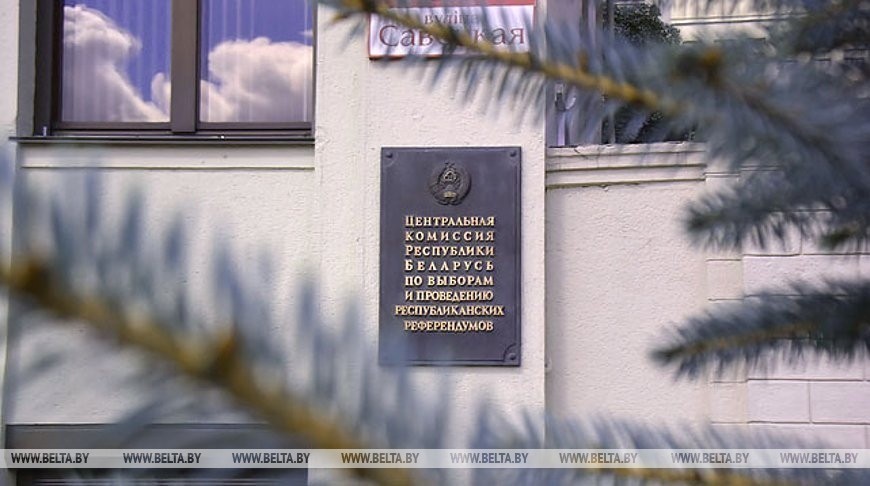 В ЦИК объяснили, кого не возьмут в делегаты ВНС
