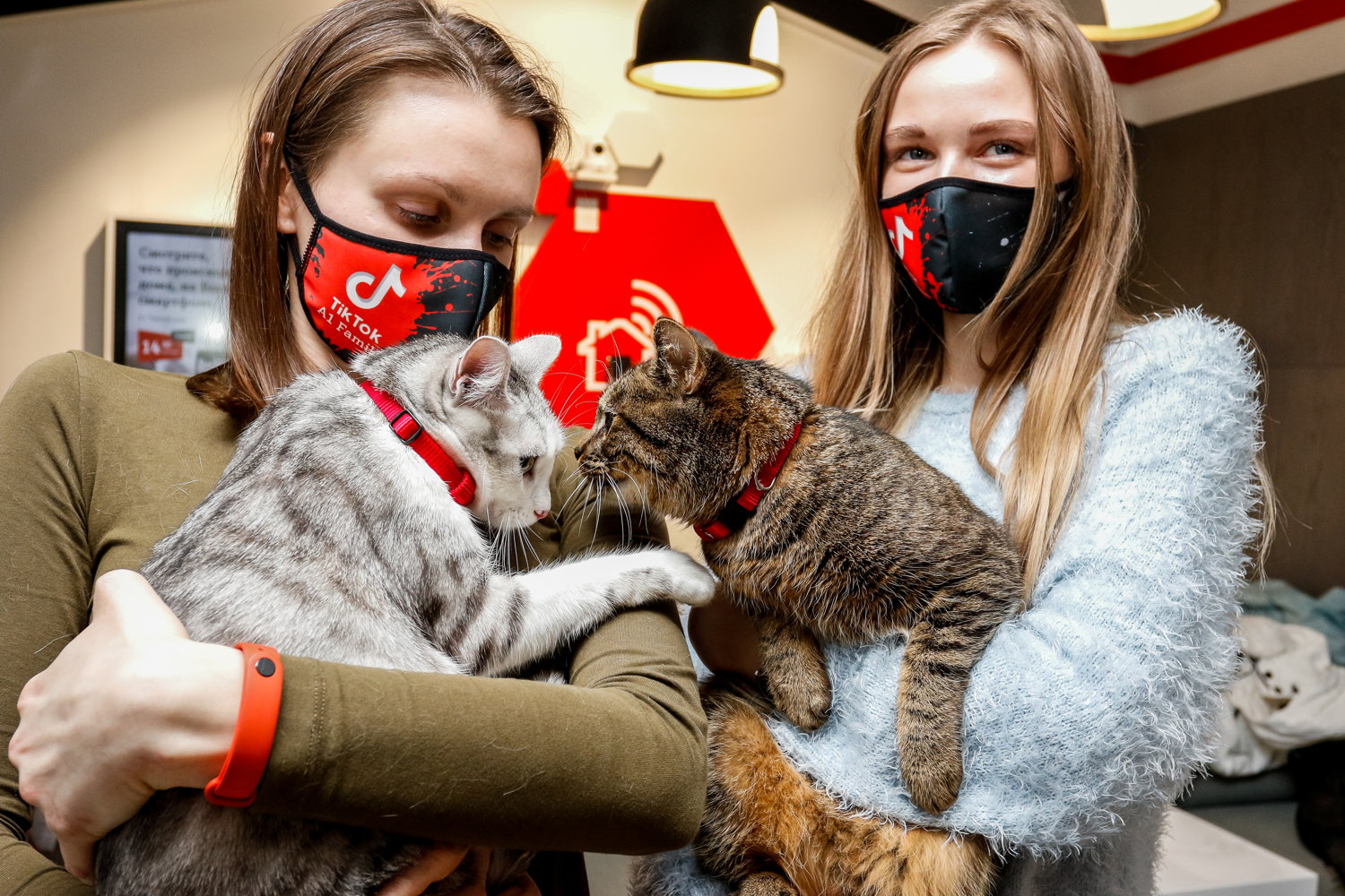 Инклюзивная кошка стала главной звездой TikTok Family А1