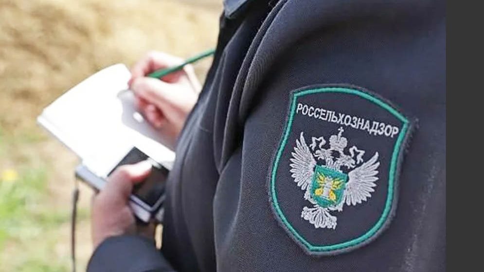 В России вскрыли нелегальную схему поставок рыбы из Беларуси