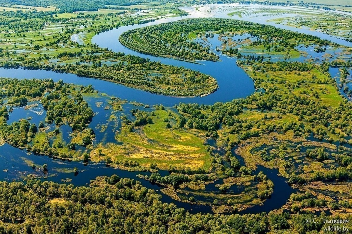 Половодье еще не&nbsp;началось, а&nbsp;в&nbsp;Беларуси уже очередь на&nbsp;море Геродота и&nbsp;сплавы на&nbsp;байдарках