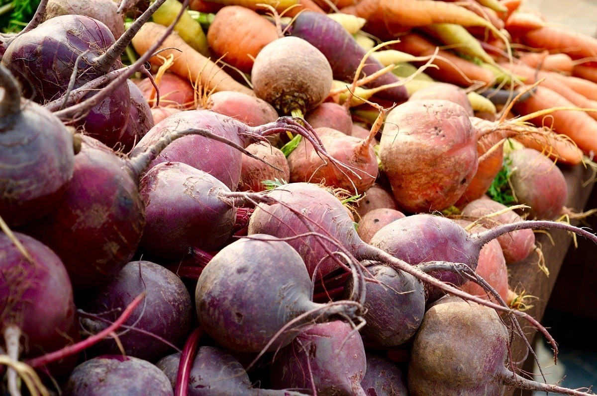 В Беларуси ввели ограничения на вывоз еще двух видов сельхозпродукции