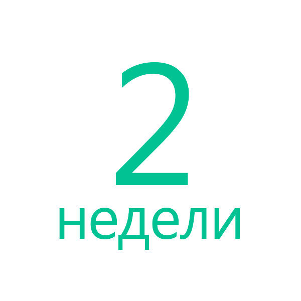2 недели