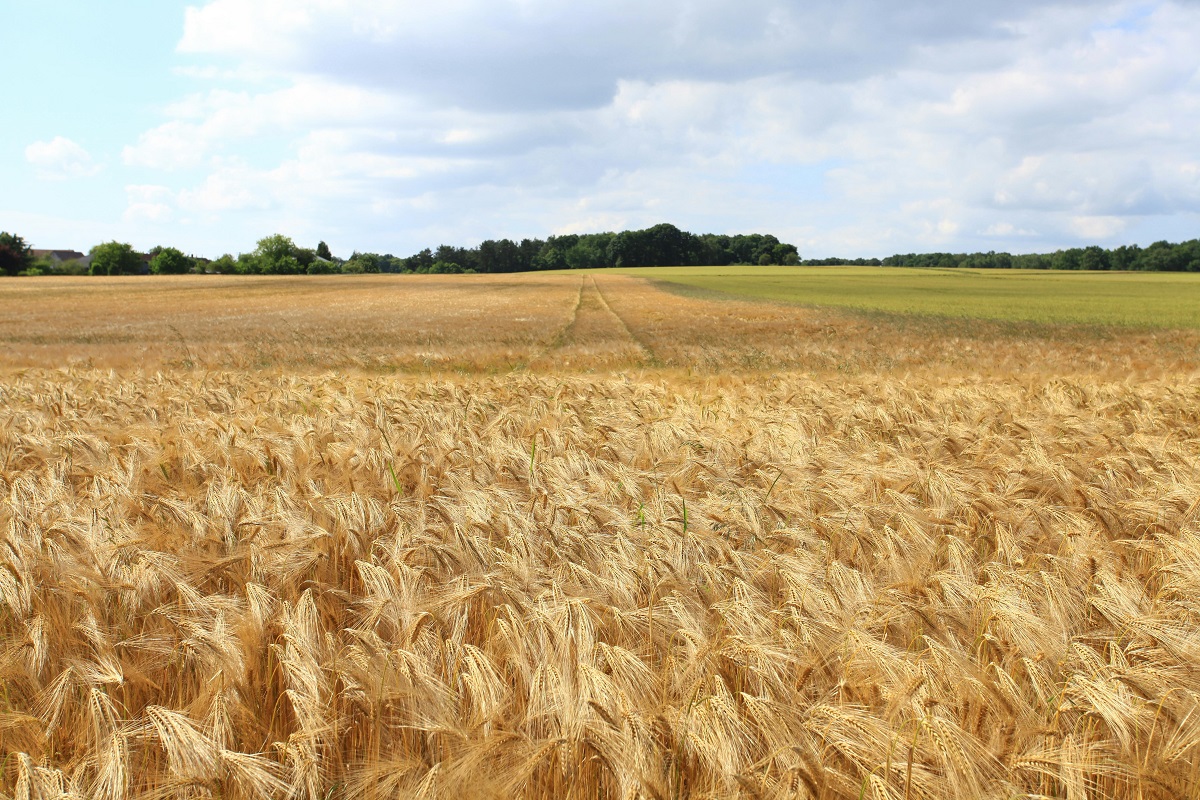 Латвия продлила на год запрет на импорт сельхозпродукции из Беларуси и России