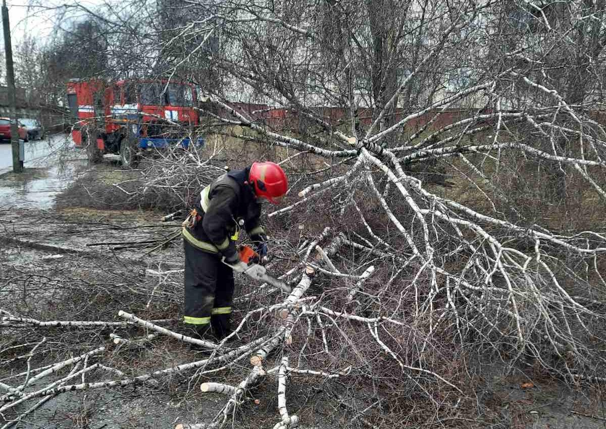 Последствия непогоды: что случилось в Беларуси за очень ветреную пятницу (фото)