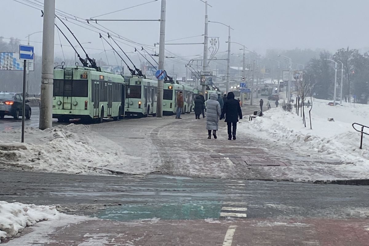  В Минсктрансе рассказали, почему встали троллейбусы