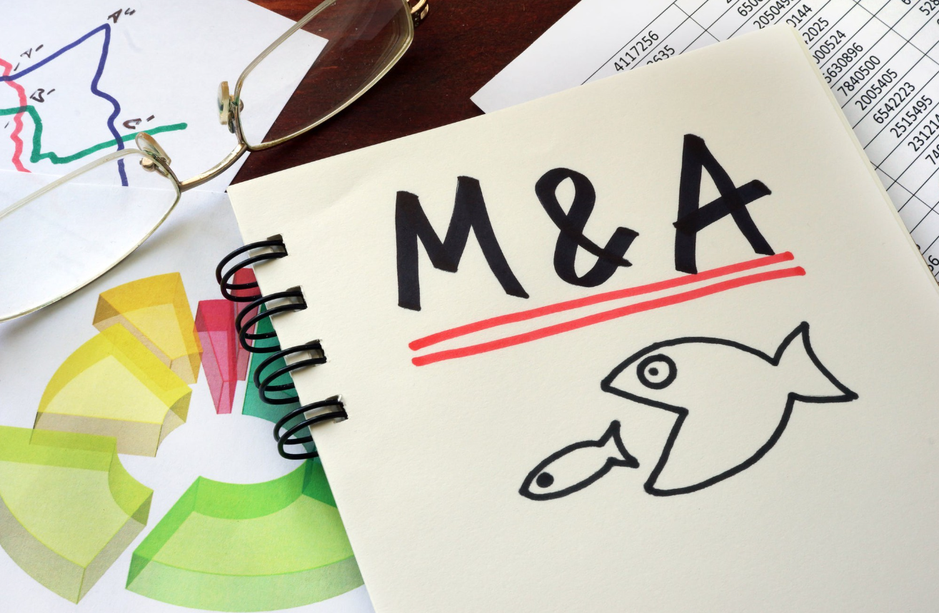 Каким был рынок M&A Беларуси в&nbsp;2022 году и&nbsp;чего ждать в&nbsp;2023-м