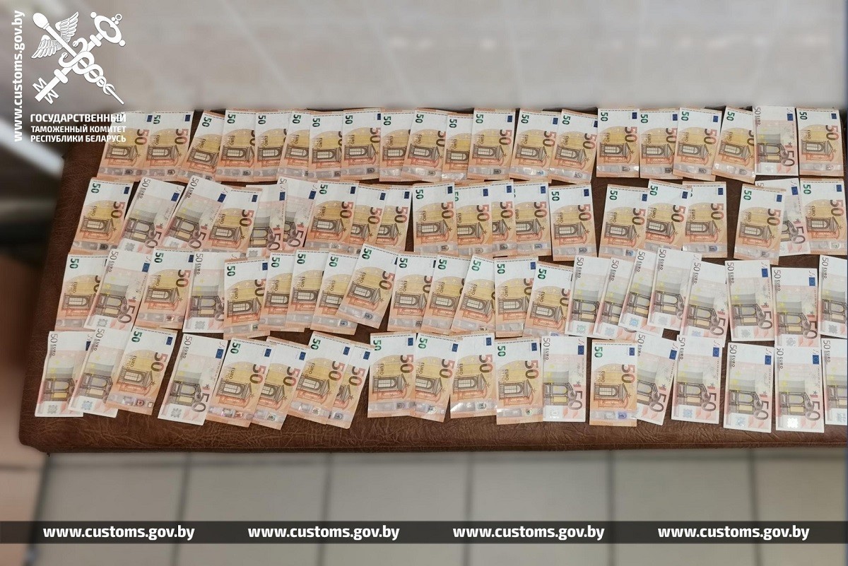 Гражданин Грузии хотел вывезти из Беларуси €235 тыс. и получил уголовное дело