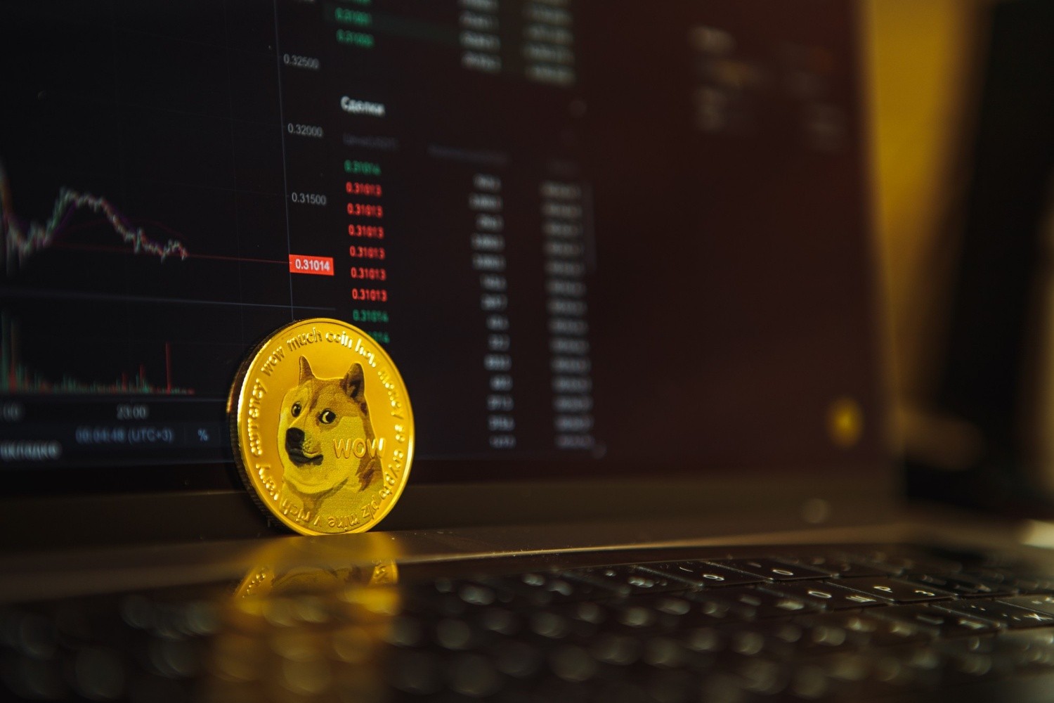 Криптопчелы против криптомеда. Сооснователь Dogecoin отрёкся от «крипты»