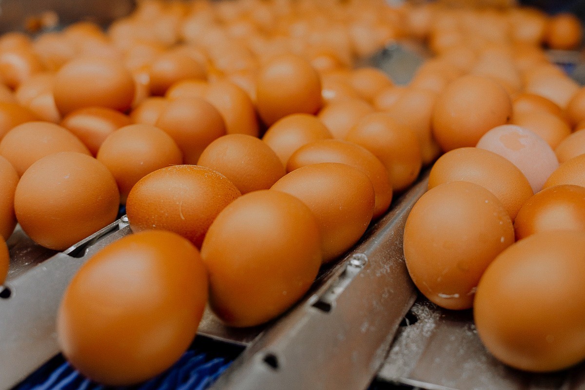 Россия усилила контроль за продукцией четырех белорусских компаний