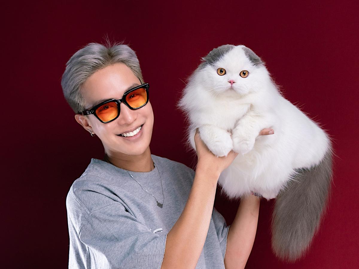  Кота из Беларуси признали одним из самых красивых в мире