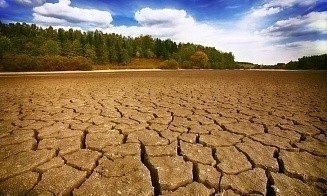 Исследование: один день аномальной жары стоит экономике как полдня забастовки