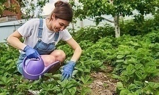 Почему 40-летние менеджеры вдруг становятся рабами клумб и грядок? Обсудили с психологом