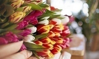 Нидерланды, Колумбия, Эквадор. Кто еще лидирует в мировом экспорте цветов