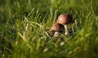 Кажется, лето — всё. В Беларусь приходит по-настоящему осенняя погода