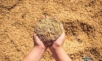Латвия запретила ввоз сельхозпродукции из Беларуси и России