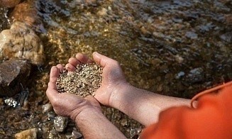 Новый Клондайк: в России разрешат добывать золото частным старателям