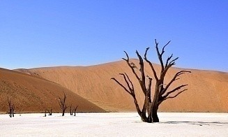Африканская страна вводит визы для белорусов с 1 апреля