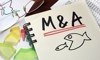 Топ-6 крупнейших M&A-сделок белорусских собственников за полгода 