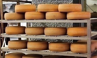 В Беларуси скоро начнут выпускать настоящие итальянские сыры