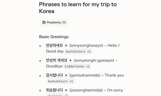 Основанный белорусом Perplexity обвалил акции Duolingo. Что произошло
