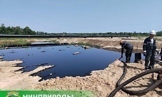 В Гомельской области произошла утечка из нефтепровода «Дружба». Что известно
