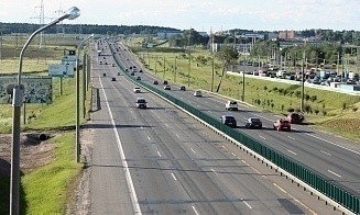 Пострадавшие в ДТП с животными смогут получить выплаты по страховке