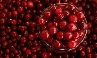 Куда поставляют на экспорт клюкву с белорусского Полесья
