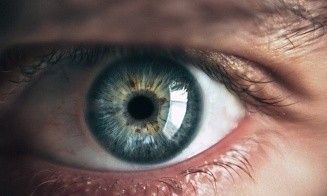 Какие глазные болезни чаще всего встречаются у белорусов